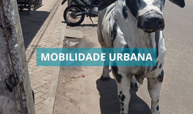 Fiscais da SEMOP intensificam ações e encontram muitas irregularidades em Valença