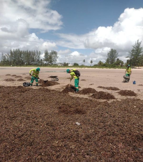 Guaibim mais limpa: mais de 1 tonelada de algas retiradas da praia!