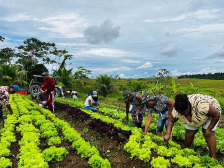Prefeitura de Valença promove capacitação em horticultura para agricultores rurais de Quebra Machado