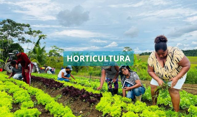 Prefeitura de Valença promove capacitação em horticultura para agricultores rurais de Quebra Machado
