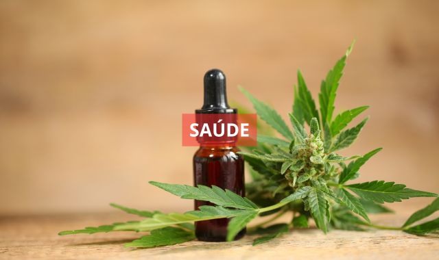 A Assembleia Legislativa da Bahia (Alba) aprovou projeto de lei que autoriza distrubuição gratuita de medicamentos à base de canabidiol na rede pública de saúde do estado