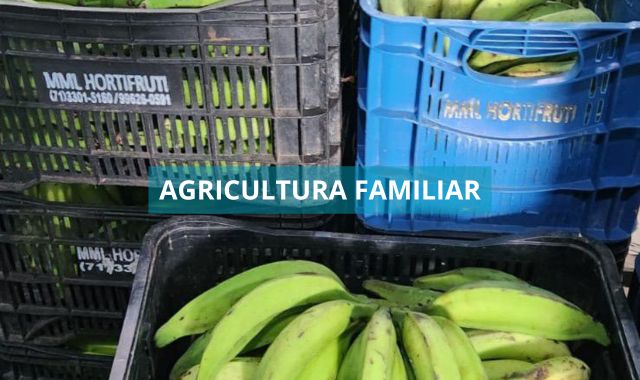 Prefeitura de Valença recebe as primeiras entregas de alimentos da Agricultura Familiar