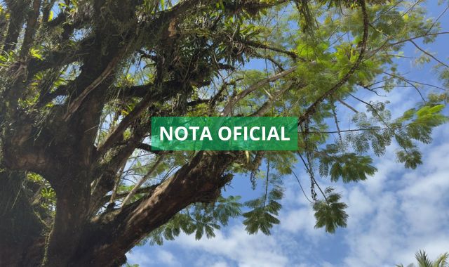 Nota oficial sobre a retirada de algumas árvores da Praça da República