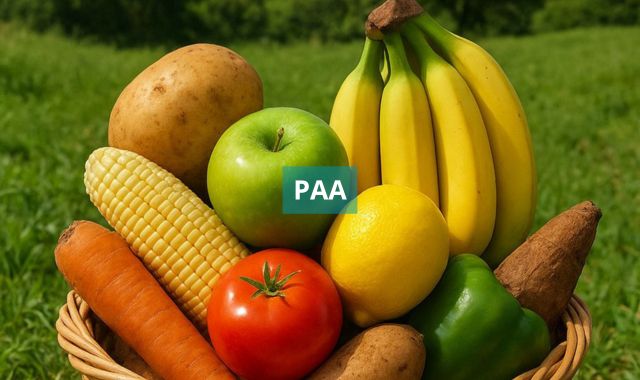 Valença é o único município do Baixo Sul contemplado com recursos do Governo Federal para PAA