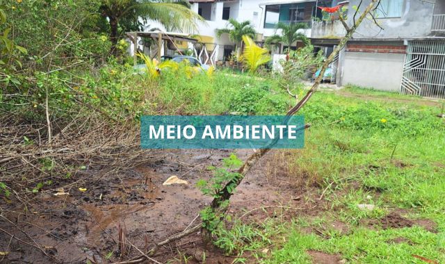 Prefeitura de Valença faz vistoria em área de manguezal na Rua Maestro Barrinha, na Graça