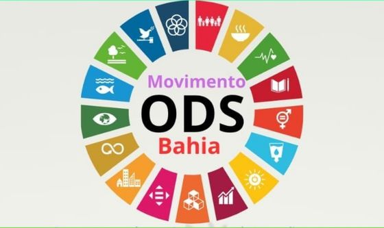 Curso de Capacitação e Treinamento para servidores da Rede Pública, Privada e membros dos núcleos municipais dos ODS