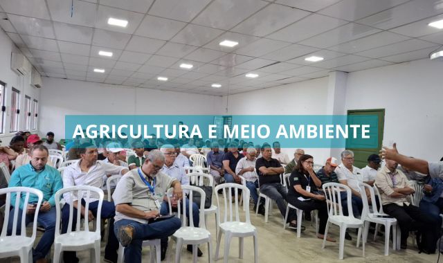 Seminário em Valença busca soluções para fungo que ameaça produção de cravo no Baixo Sul