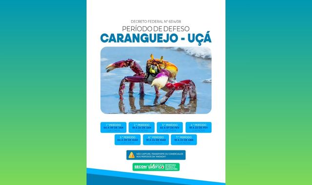 Período de andada do caranguejo uçá entra em vigor em 2026 e reforça proteção aos manguezais