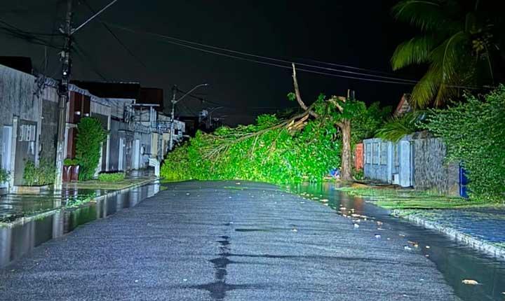 Temporal com ventos fortes provoca danos e deixa bairros sem energia em Eunápolis