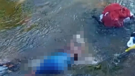 Homem morre após ataque de abelhas em zona rural de Santo Antônio de Jesus
