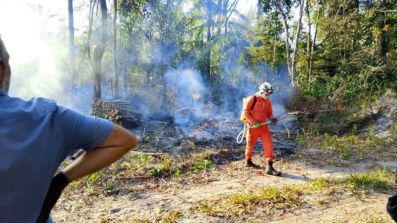 Fiscalização ambiental apreende madeira de desmatamento irregular e aciona combate a incêndio em área de preservação