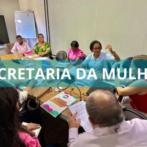 Secretaria de Políticas para as Mulheres e Reparação Social e Secretaria de Mulheres do Governo do Estado alinham ações conjuntas