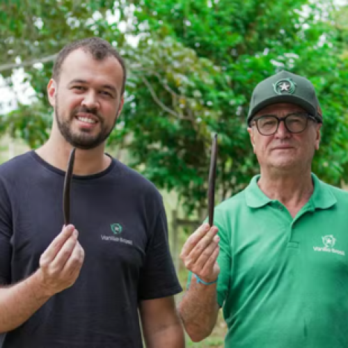 Pai e filho transformam cultivo de baunilha em negócio milionário no interior da Bahia