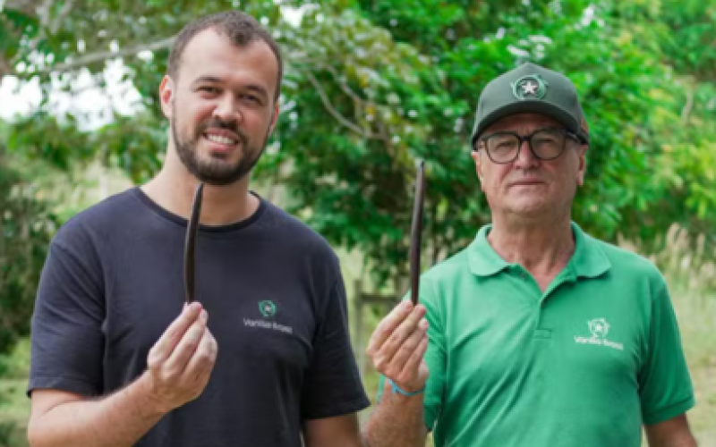 Pai e filho transformam cultivo de baunilha em negócio milionário no interior da Bahia