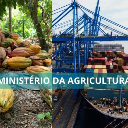 Brasil suspende importação de cacau da Costa do Marfim