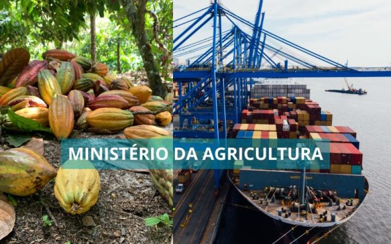 Brasil suspende importação de cacau da Costa do Marfim