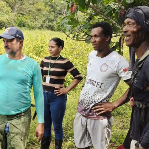 Famílias do Candimba recebem serviços de regularização fundiária