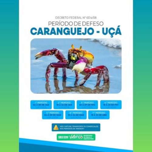 Período de andada do caranguejo uçá entra em vigor em 2026 e reforça proteção aos manguezais