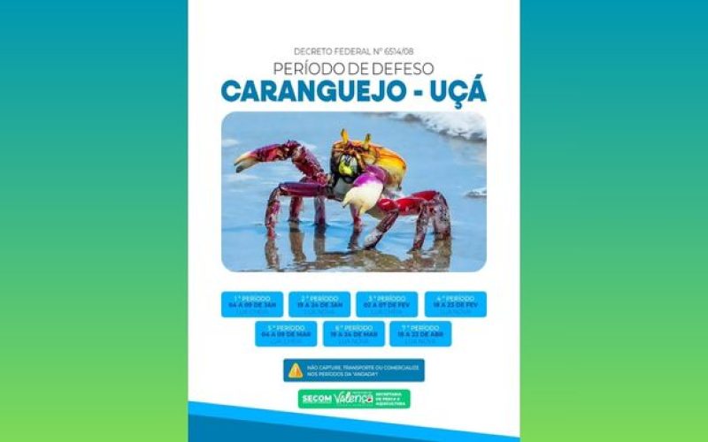 Período de andada do caranguejo uçá entra em vigor em 2026 e reforça proteção aos manguezais