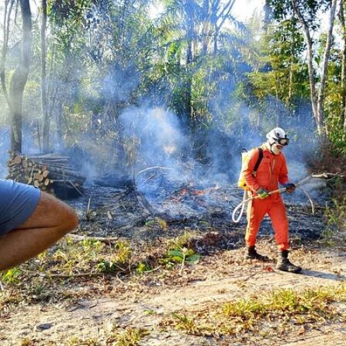 Fiscalização ambiental apreende madeira de desmatamento irregular e aciona combate a incêndio em área de preservação
