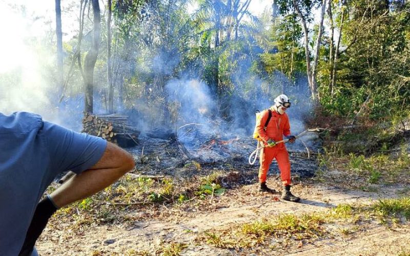 Fiscalização ambiental apreende madeira de desmatamento irregular e aciona combate a incêndio em área de preservação