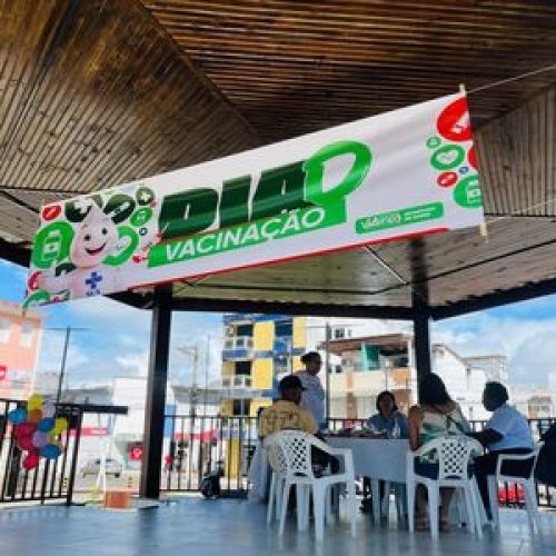 Dia D de Vacinação contra Influenza