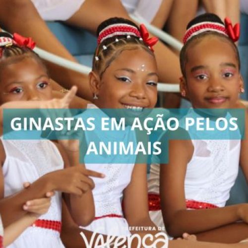 Ginástica, solidariedade e amor aos animais marcam evento beneficente em Valença