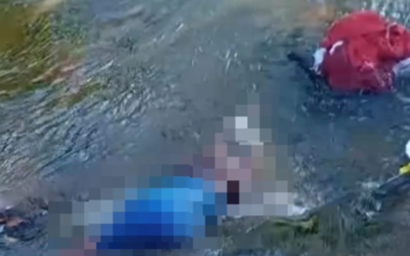 Homem morre após ataque de abelhas em zona rural de Santo Antônio de Jesus
