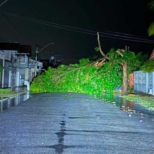 Temporal com ventos fortes provoca danos e deixa bairros sem energia em Eunápolis