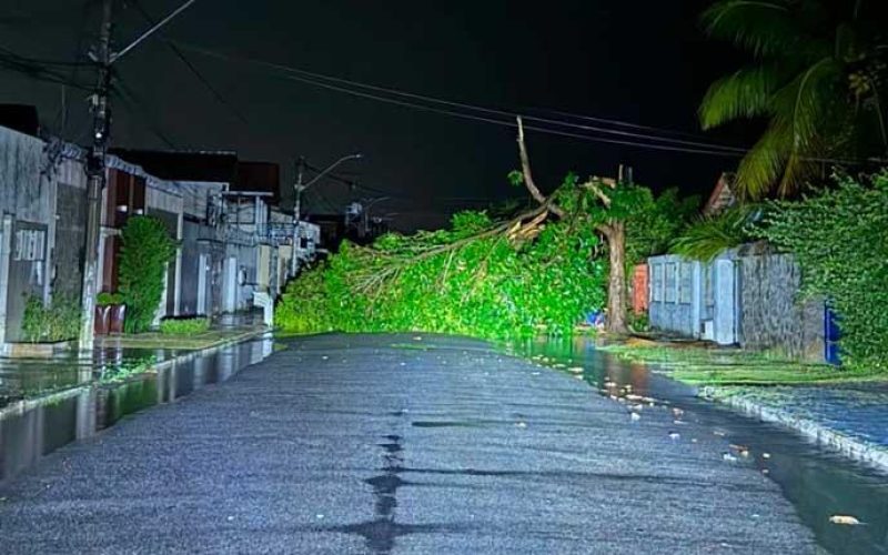 Temporal com ventos fortes provoca danos e deixa bairros sem energia em Eunápolis