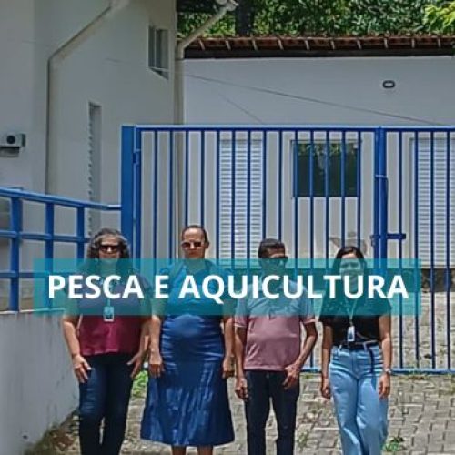Unidade de Beneficiamento de Pescados