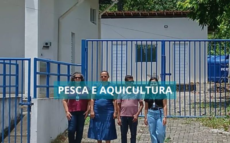 Unidade de Beneficiamento de Pescados