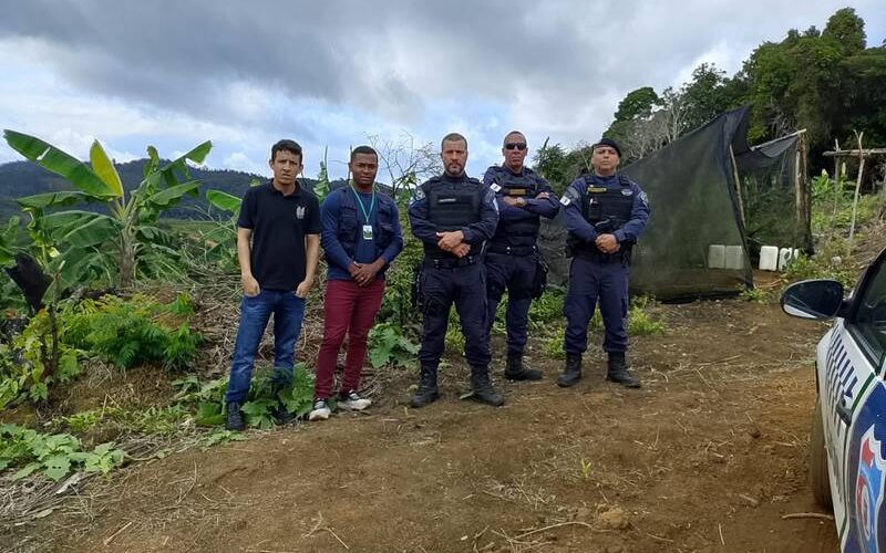 Secretaria de Meio Ambiente intensifica fiscalização e apura crime ambiental na comunidade da Guabiraba
