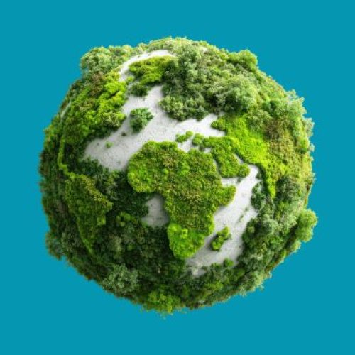 Semana do Meio Ambiente