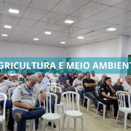 Seminário em Valença busca soluções para fungo que ameaça produção de cravo no Baixo Sul