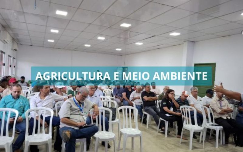 Seminário em Valença busca soluções para fungo que ameaça produção de cravo no Baixo Sul