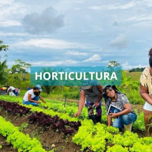 Prefeitura de Valença promove capacitação em horticultura para agricultores rurais de Quebra Machado