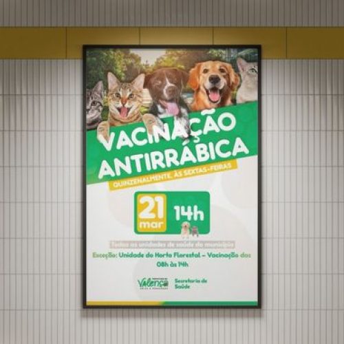 Prefeitura de Valença promove vacinação antirrábica para cães e gatos