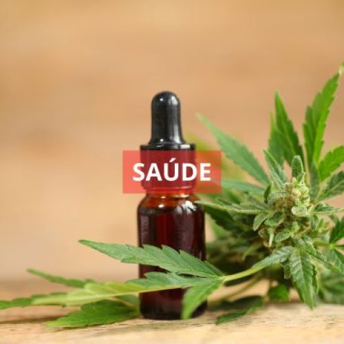 A Assembleia Legislativa da Bahia (Alba) aprovou projeto de lei que autoriza distrubuição gratuita de medicamentos à base de canabidiol na rede pública de saúde do estado