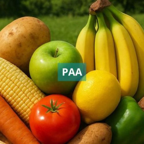 Valença é o único município do Baixo Sul contemplado com recursos do Governo Federal para PAA