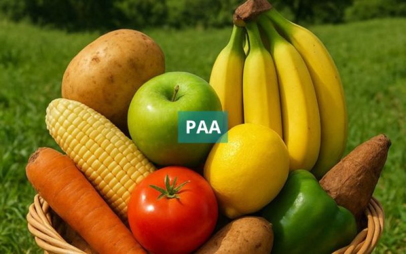 Valença é o único município do Baixo Sul contemplado com recursos do Governo Federal para PAA