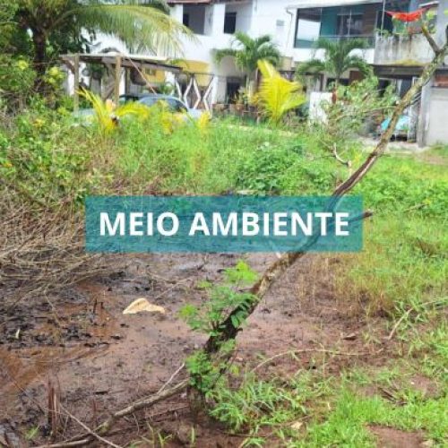 Prefeitura de Valença faz vistoria em área de manguezal na Rua Maestro Barrinha, na Graça