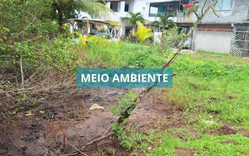 Prefeitura de Valença faz vistoria em área de manguezal na Rua Maestro Barrinha, na Graça