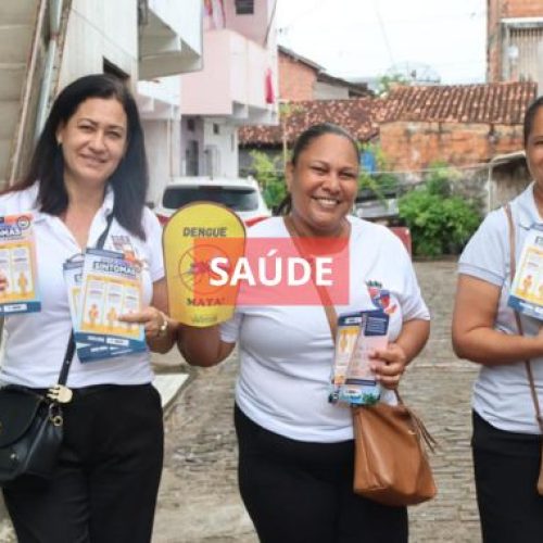 Dia D de combate ao Aedes aegypti