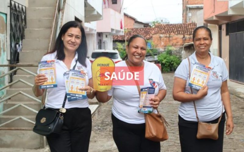 Dia D de combate ao Aedes aegypti