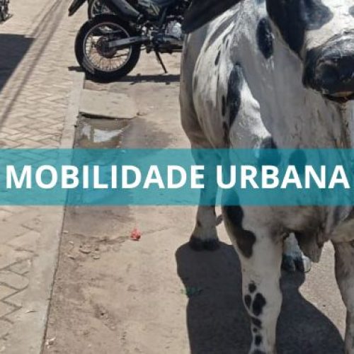 Fiscais da SEMOP intensificam ações e encontram muitas irregularidades em Valença