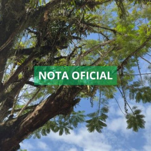Nota oficial sobre a retirada de algumas árvores da Praça da República