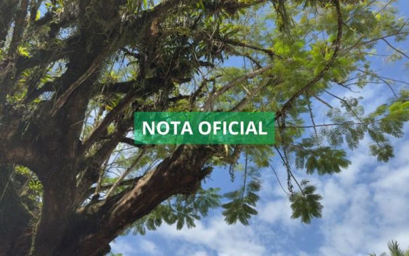 Nota oficial sobre a retirada de algumas árvores da Praça da República