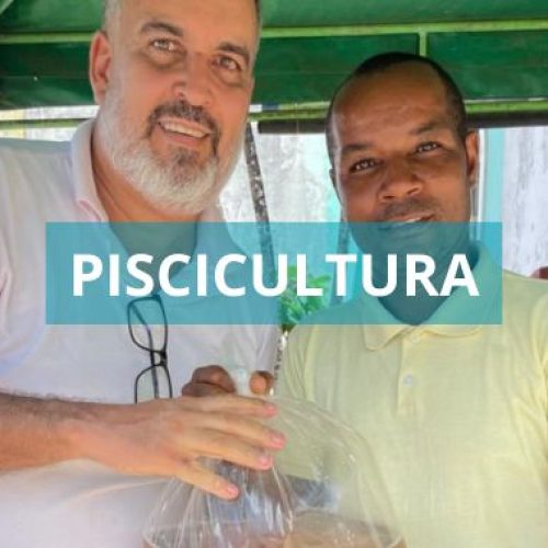 Prefeitura de Valença, em parceria com a Aguavale Piscicultura, distribui 50 mil alevinos para criadores do município