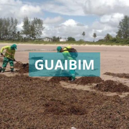 Mais uma tonelada de algas foram retiradas da Praia de Guaibim
